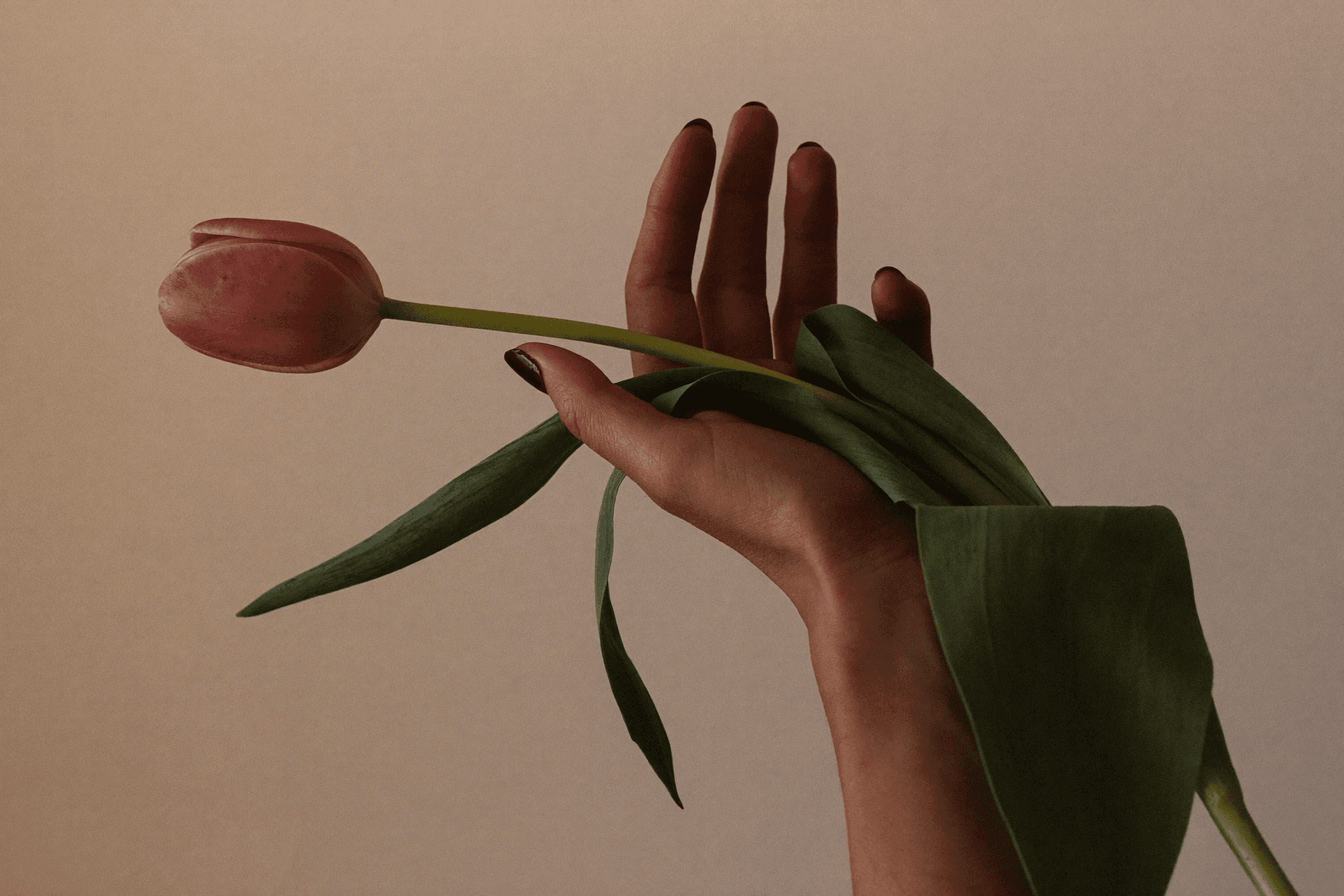 A hand gently cradling a tulip stem, echoing the Simply Resilient mark